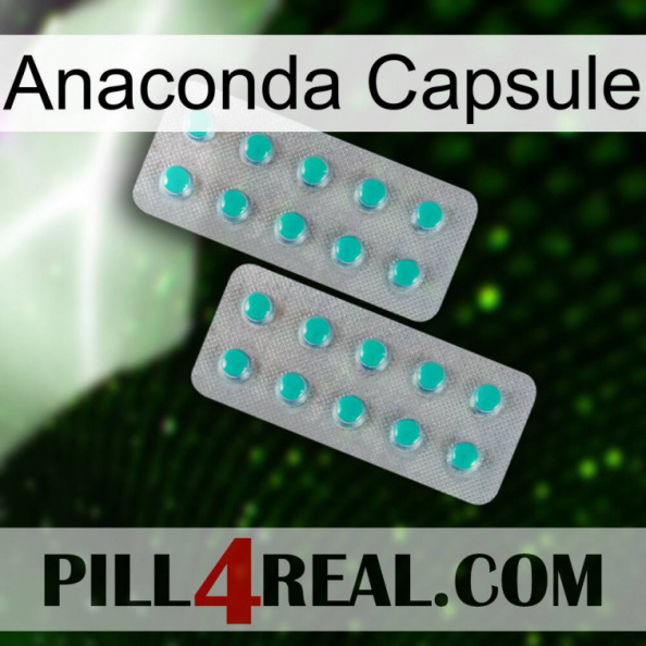 Anaconda Capsule 29.jpg